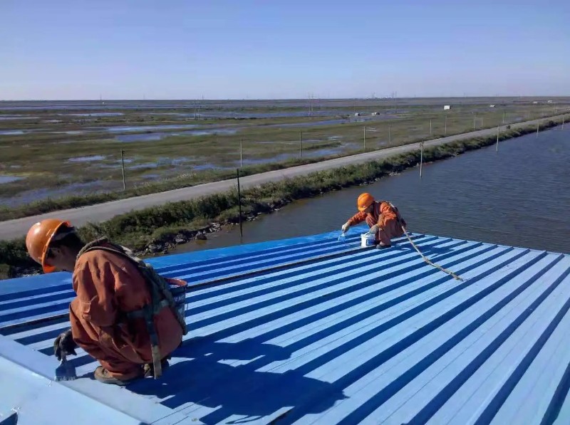 巨野彩钢瓦屋面防腐翻新